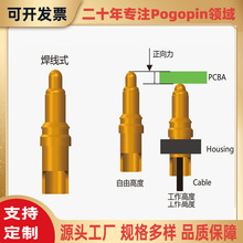 pogopin�����ᘴ�����ĸ���B�������ᘴ����̽���̖ᘺ���