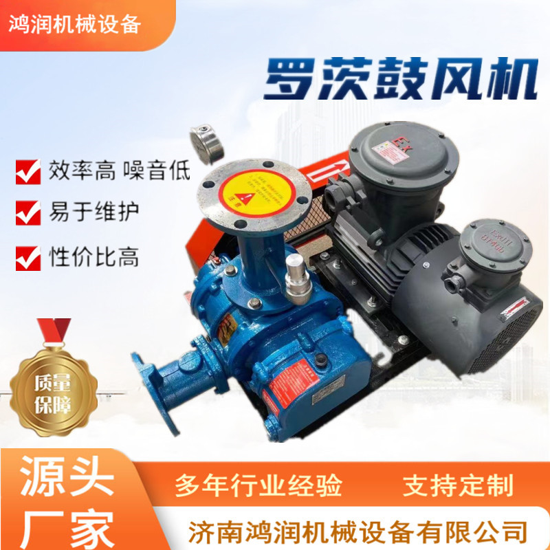 浙江三叶罗茨鼓风机章丘风机厂家SR300-55KW污水曝气高压风机送风