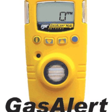 BW便携式硫化氢检测仪 GAXT-H-DL 硫化氢检测仪 加拿大气体检测仪