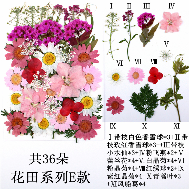 Paquete de material de estampado de flores secas Paquete de combinación de flores presionadas Flor real Hoja de espécimen pegatinas