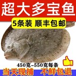 新鲜冷冻多宝鱼 活冻海鲜水产新鲜比目鱼海鱼冷冻八宝鱼大菱鮃