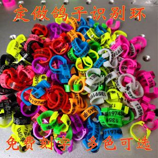 ���ٶ� ������˽�h�� ��������h�_���_�h�����_�h�R�e�h�����ӿ�