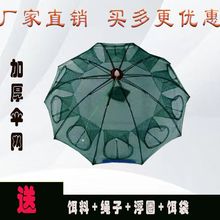 �r�\�~�W�W�~���r�Ԅӻ\���з�ۯB�S�X�O�W���r���~�������q