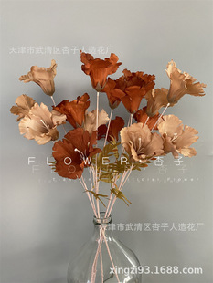 4�^ë��ľ�޻����滨��Y����·���ٻ����Ȼ���誻���ţ���zӰ��