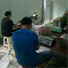 韭菜去泥机气动干式韭菜小葱去皮机蒜黄干叶烂叶去除机不沾水