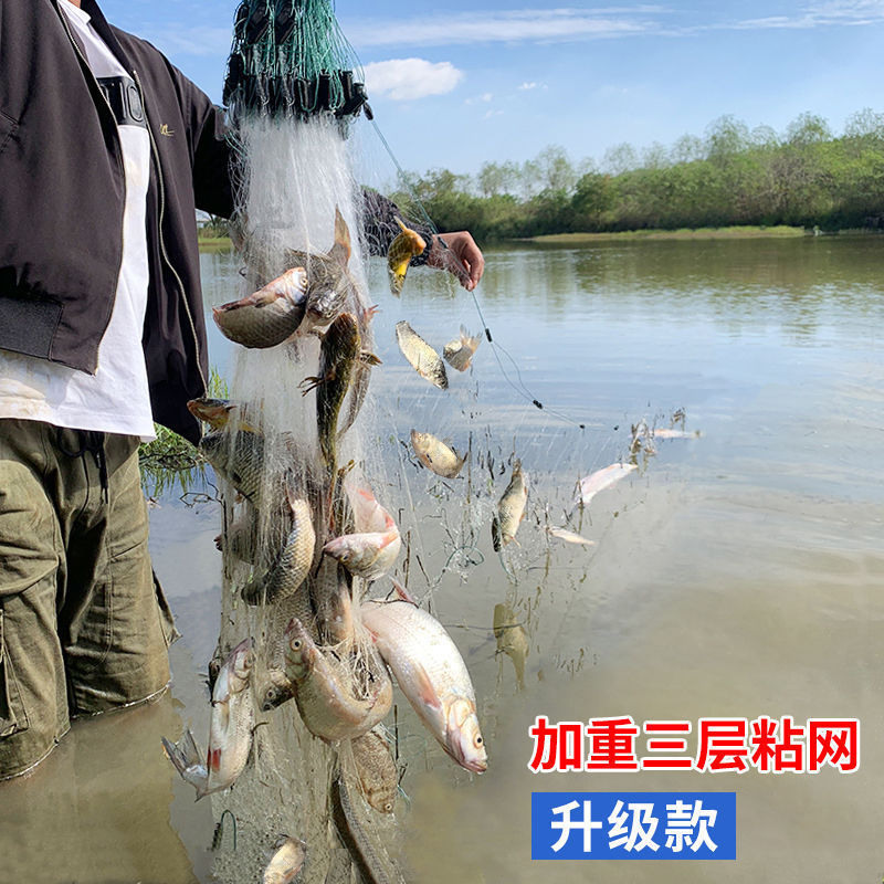 鱼网粘网三层渔网丝网三层单层沉网浮网挂子沾鲢鱼鲫鱼网一件批发|undefined