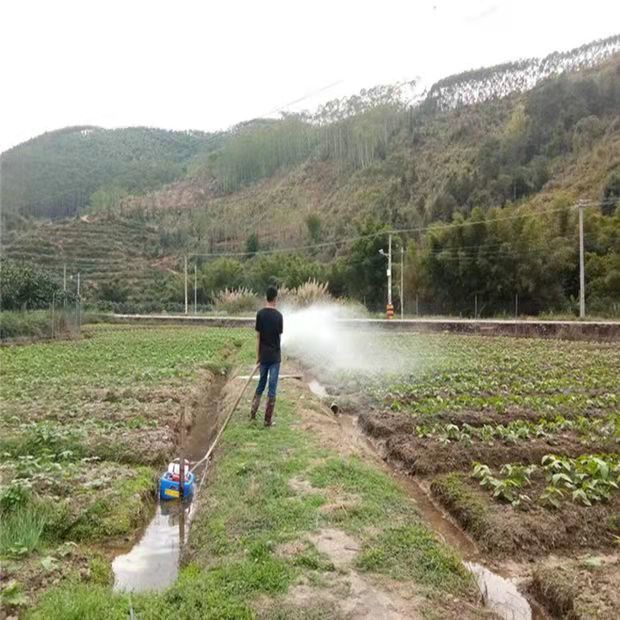 Greenfield's Various Boat-Type Sprinklers, Four-Stroke Gasoline Engines, Water Pumps, Self-Priming Floating Pumps, Boat Pumps, Vegetable Watering Machines