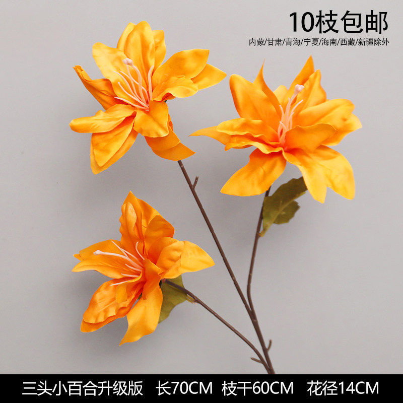 三头小百合升级版