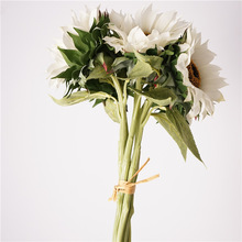 ָл֦Ʒ|廨5@ˇտ»c̫b