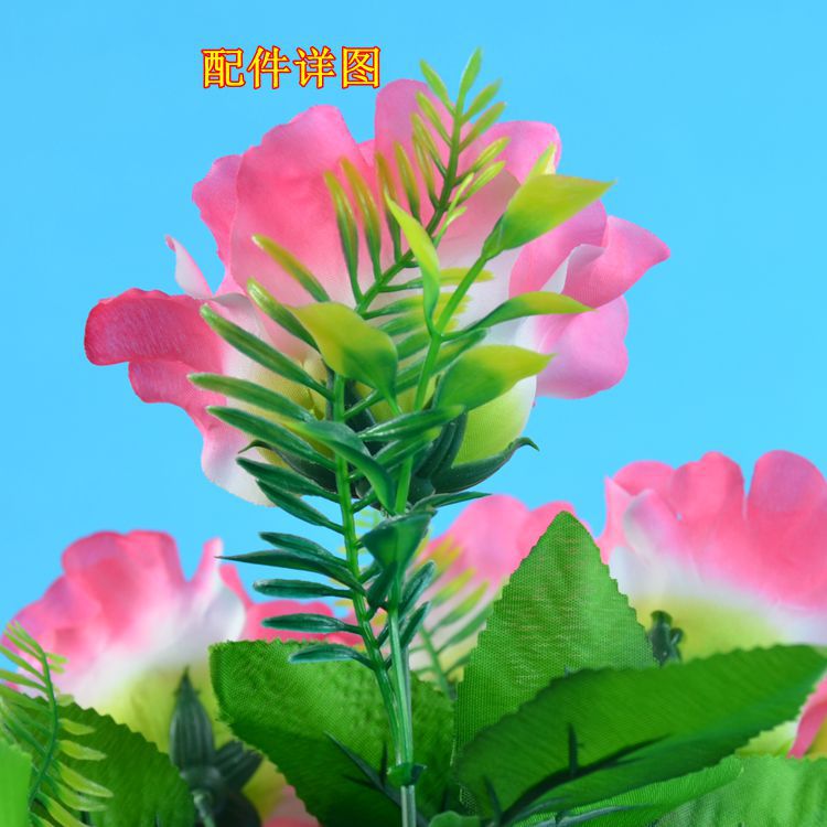 10头碎边玫详情3.jpg
