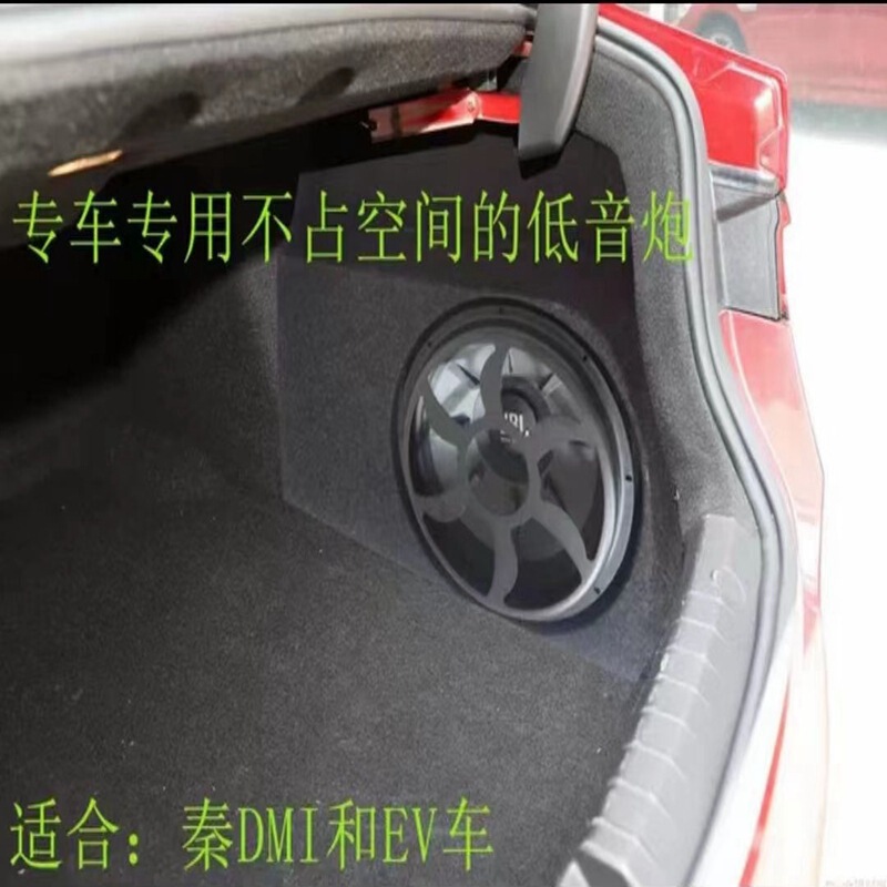 Qin Pius Dmi and Ev Car Subwoofer Modification Box 10inch Car Audio Brand Wooden Empty Enclosure