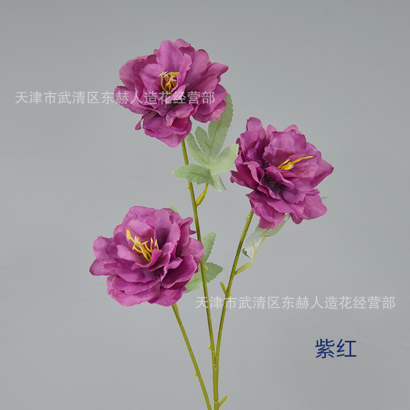 보라색 레드