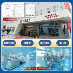 Wholesale mini wet wipes packet baby hand and mouth wipes portable removable cleaning wipes baby wipes