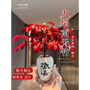 ���������������k���҃�������ؔ�Gֲ�����ͺ����B��լ�����՚�