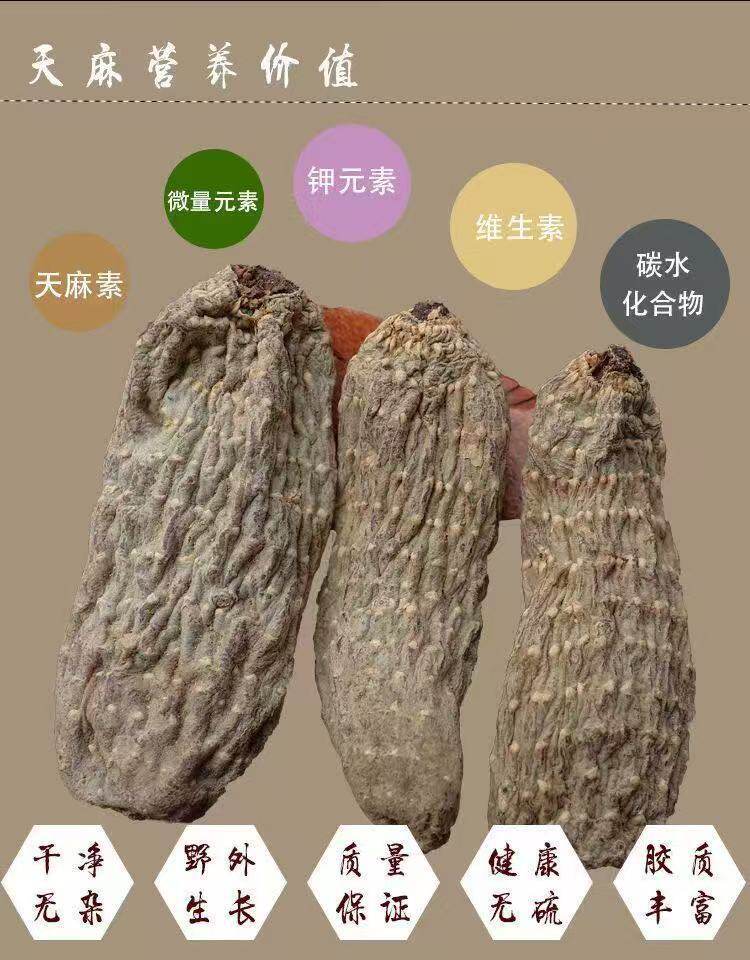 Tian Ma Gastrodia Root 500g Yunnan Zhaotong Black Wild-Crafted Dried Slices for Decoction and Soup quality and texture