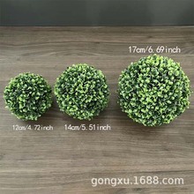 ���~���������ȼ������mֲ����피Ҿ��쾰����b����羳