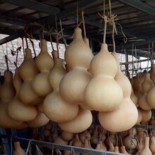 ��Ȼ���J�[������������J�Ʒ�ش�����J�����^�Ҿӿ͏d���T���