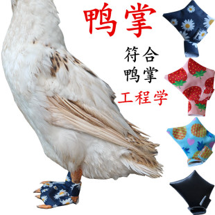 ���R�d��Ʒ�����ZЬ ������� ����_����ѥ���oЬ��Ʒ���S���l