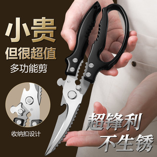 �N�����������u�Ǽ��๦�܏N�ü��ǵ����~ʳ������P䓼��ÿ���