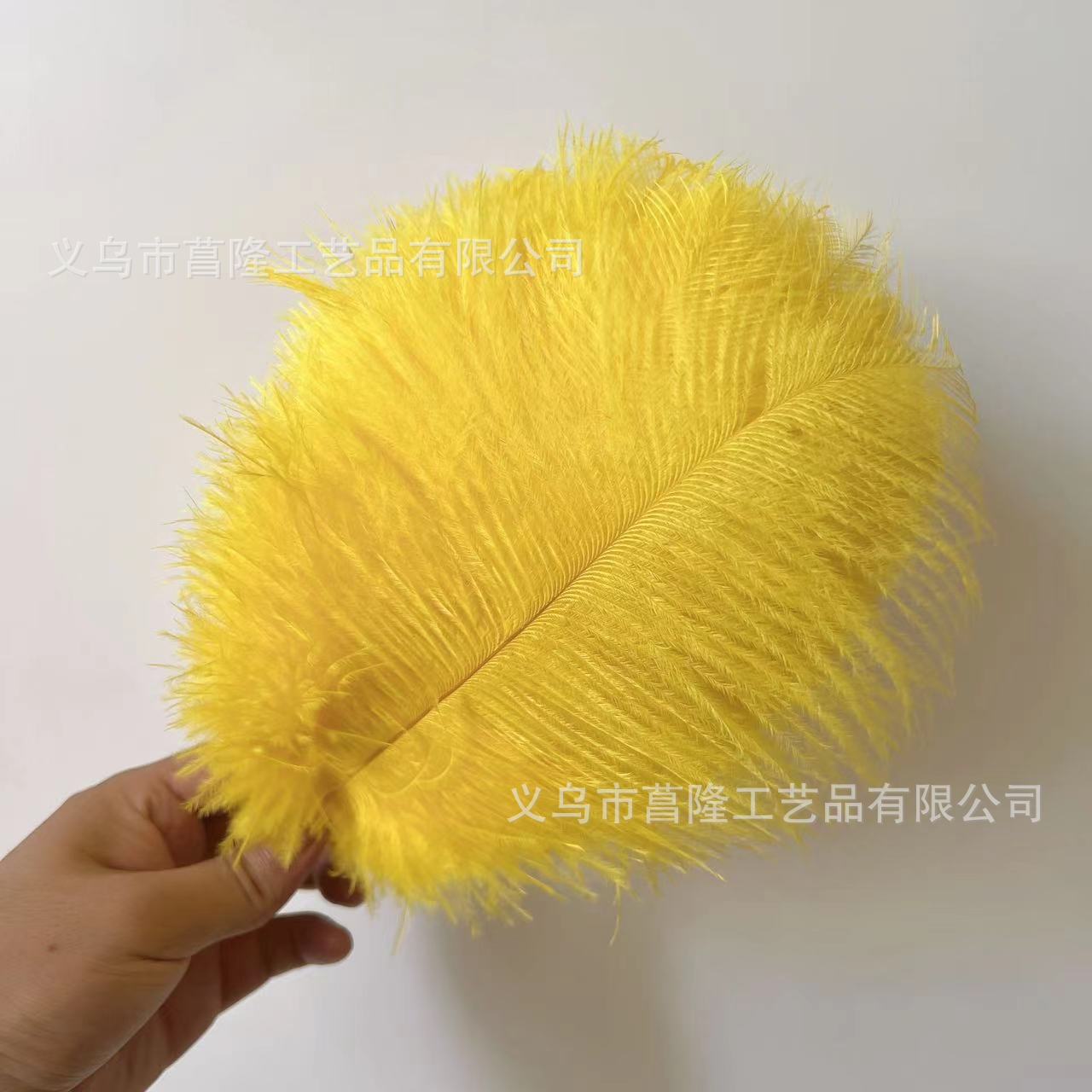 dafda09eca8d81ec10a8224f540524