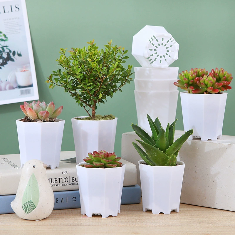 Новый белый пластиковый восьмиугольный цветочный горшок для суккулентов Оптовая Внешняя торговля Горячая Распродажа восьмиугольный твердый Матовый маленький белый таз