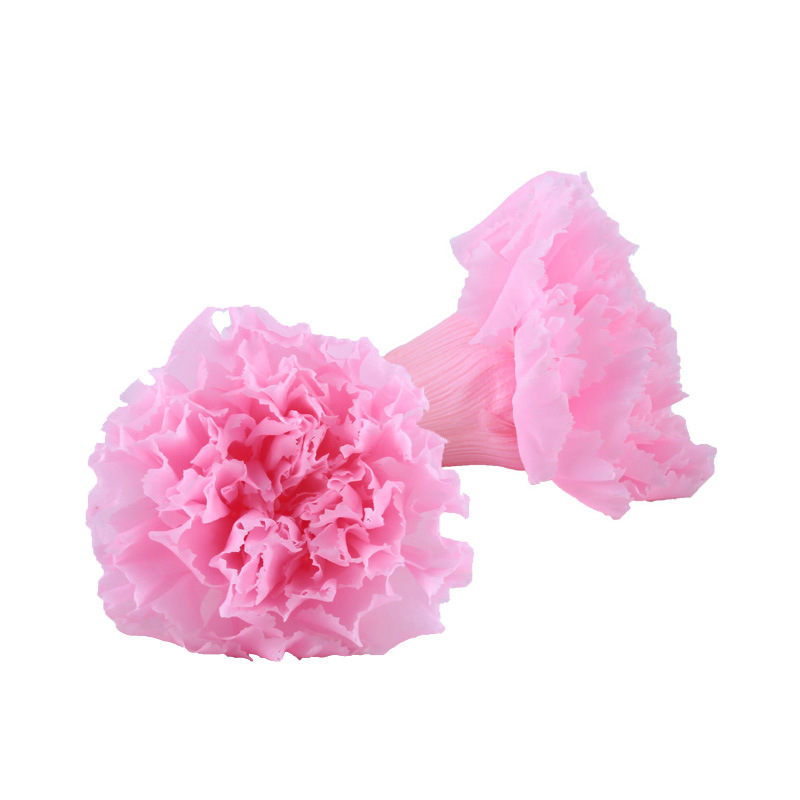 Fabricante de cabezas de flor de clavel eterno, venta al por mayor de regalos para el Día de la Madre, para mamá, maestra, ancianos, materiales para ramos de bricolaje