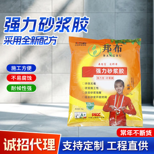 Customized Strong Tile Mortar Glue, Sand Glue, Fine Mortar King, Cement Additive, Bonding Powder, Polymer Ceramic Tile Special