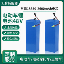 海霸款电动车电瓶48V锂电池12A三元材料锂电池电动滑板车锂电池