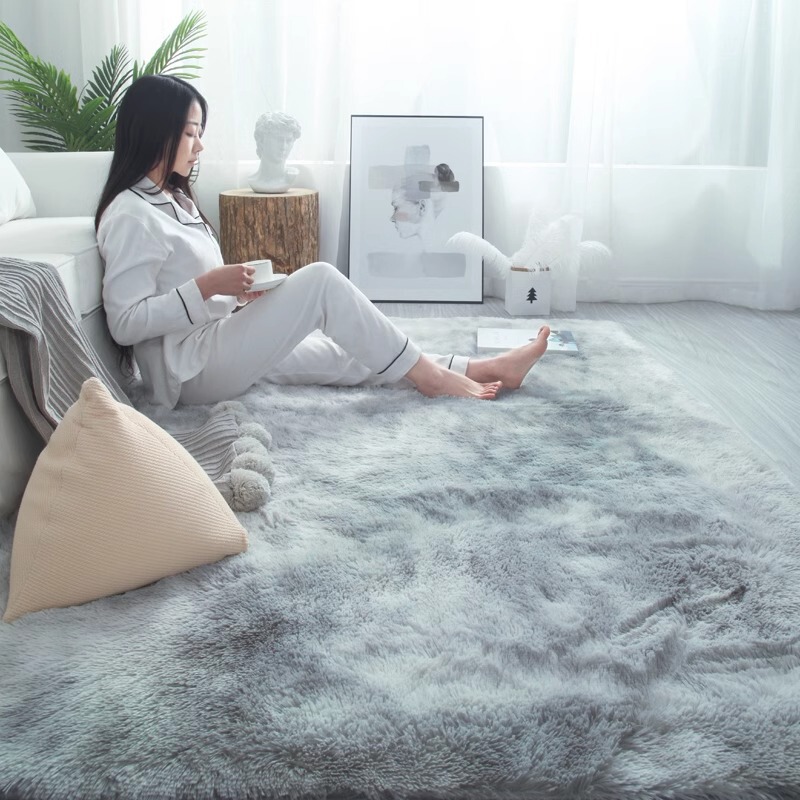 Thickened Super Soft Silk Hair Living Room Bedroom Bay Window Leisure Girl Bedside Room Large Area Full Carpet Floor Mat