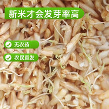 �����L���״ּZ��ѿ����������s�Z��r���׿ɰlѿ���׏Sһ�����l