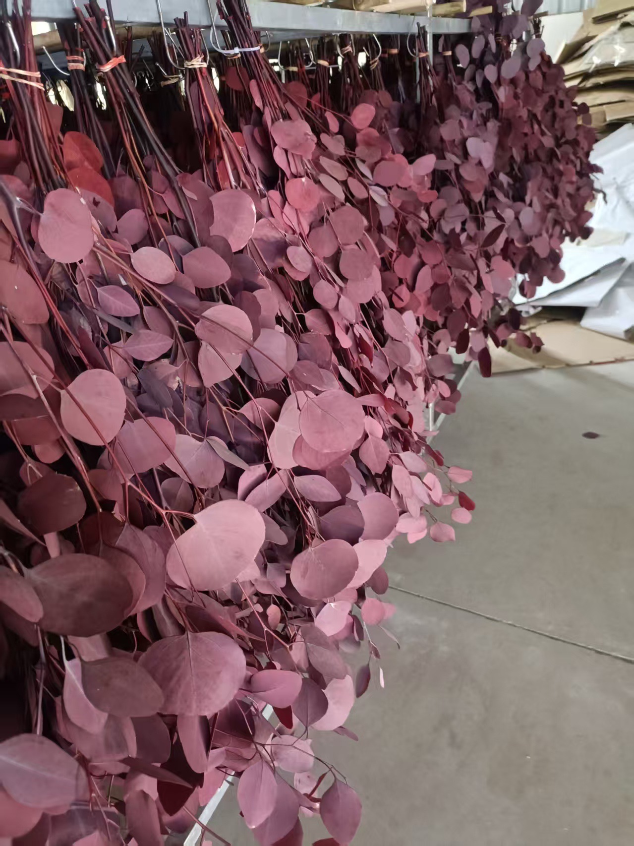 빨간색 100g/다발 흡착성