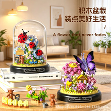��ͯ���������ֹ�DIYõ�崴���ľ����������ƴװ�ڼ��羳���