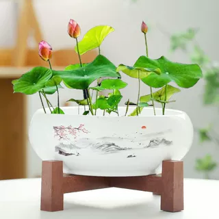 水仙花盆陶瓷铜钱草水培睡莲一叶莲碗莲金钱草水养专用盆缸无孔大