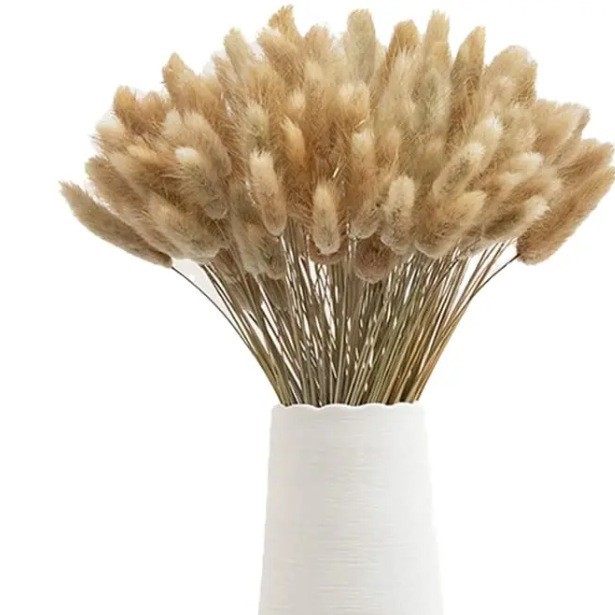 Fabricant source Pampa Ltout Sage Flower True Flower True Sage Set Plant à la mode Sale Bouquet de fleurs Sy