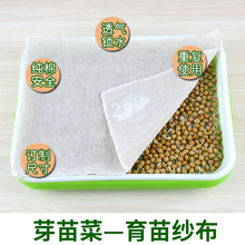 ѿ������缈��ѿ�˱���ˮ�༈�̨���ϷN�˷Nֲ�����z�|͸���©
