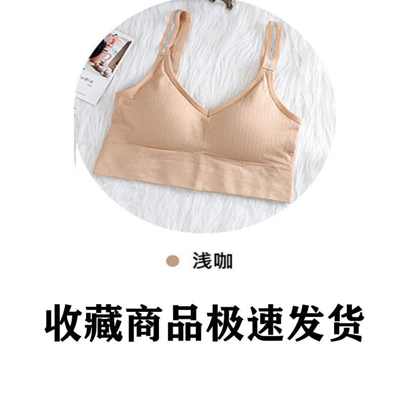 얕은 다크 브라운