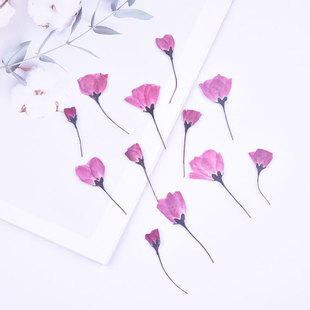 �ȉ����Ļ��ɻ�����diy�ֹ����z�֙C�������޹�滨ֲ��˱��ֹ�