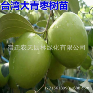 �O��������̨���������޽��� ���Թ��� ţ�̗� ����һ̖ ����Y��