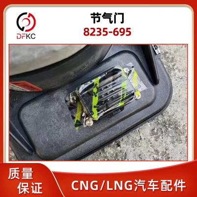 Natural Gas Engine – Drossel