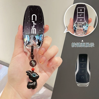 Car key bag | Dolphin 05 Song Pro Seagull - byd-a-starry-sky-blue-ebony-one-deer-safety-rope