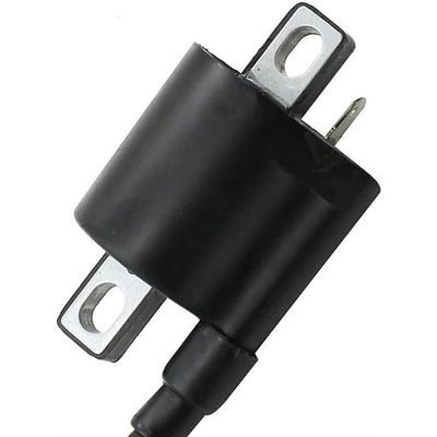 Dt50 Rx50, Alovlanma bobini (Babinalar)