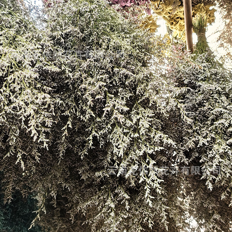 微信图片_20250404164850