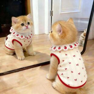 �����·�؈�仨߅���ĳ��ȴ����¿����ӡ����u�Ӳ�ż؈͸�ⱡ��