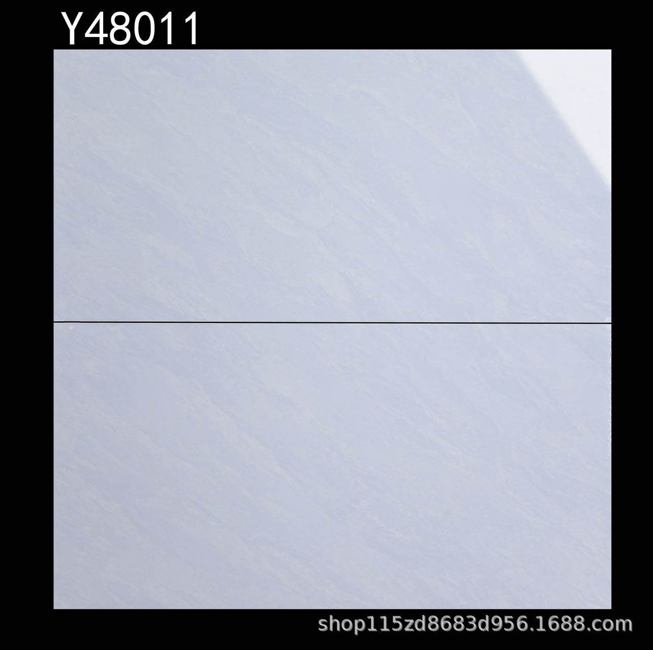Y48011