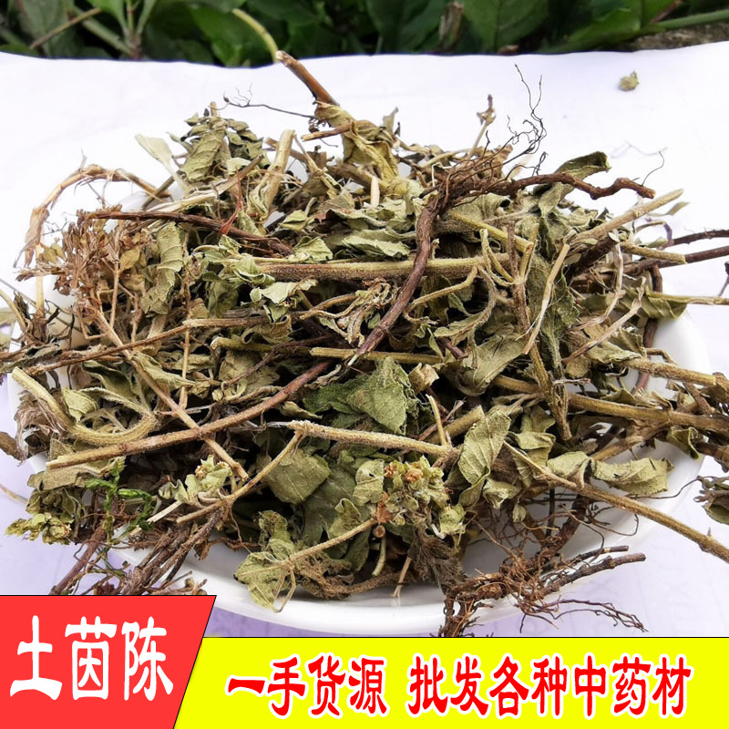 Tu Yin Chen (Artemisia capillaris / Herba Artemisiae) — Dried Yin Chen Herb, 500g overview