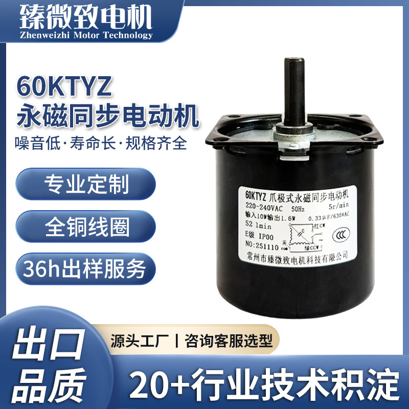 60Ktyz Permanent Magnet Synchronous Motor 220V Synchronous Motor Air Fryer Motor