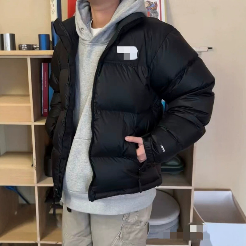 Cross-Border Putian Pure Original American Version Classic 1996 North Face down Jacket Embroidered Unisex Stand Collar Versatile Jacket Cross-Border Putian Pure Original American Version Classic 1996 North Face down Jacket Embroidered Unisex Stand Collar Versatile Jacket