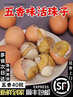 40枚烧烤13天土鸡活珠子五香鸡仔胎旺蛋鸡胚蛋钢化蛋开袋即食新鲜-阿里巴巴