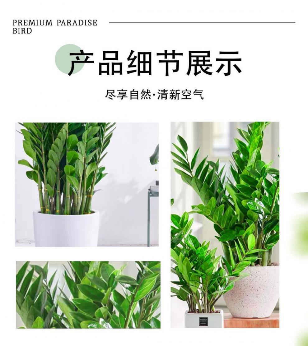 16196c40-61a2-4be6-a25f-0e251dfd1274.jpe