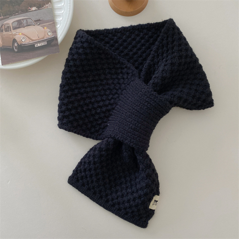 Holiday, Daily Occasion Polyester Material Women's Simple Style Korean Style Solid Color Polyester Scarf
